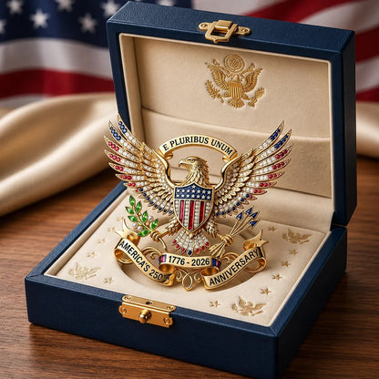 US 250th Anniversary Brooch Pin ✨